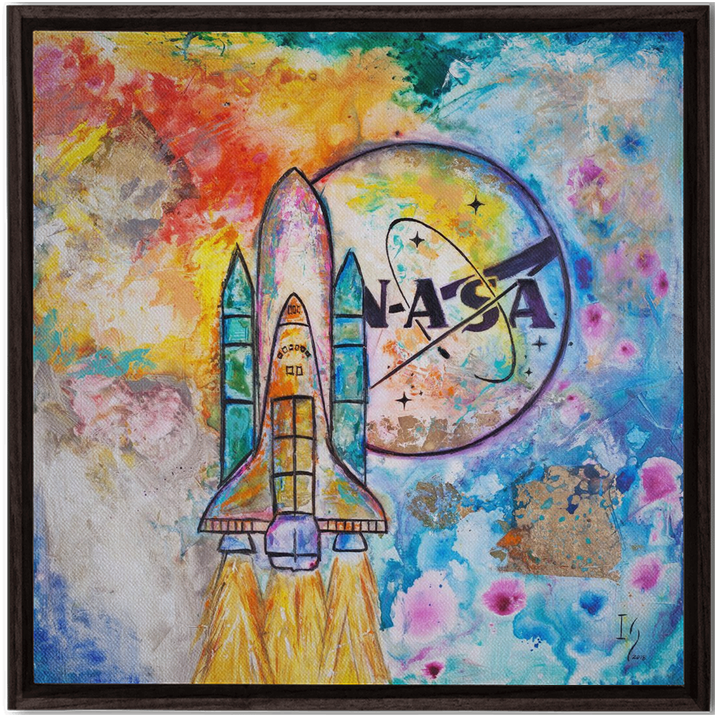 NASA Apollo 13 artwork detail - commission art canvas print wall art