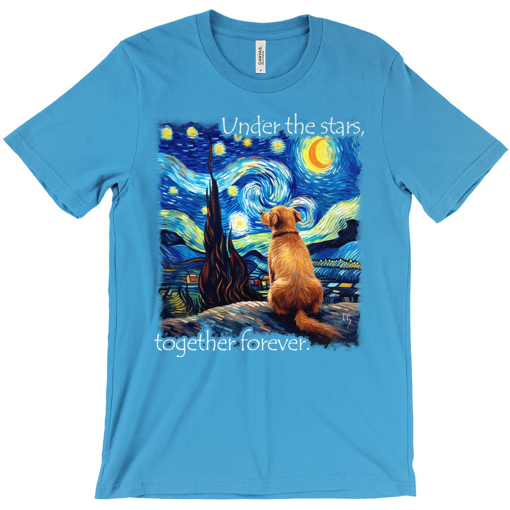 A story of Stars and Night Winds - T-Shirts artwork detail - interactive christian gift with augmented reality wall art